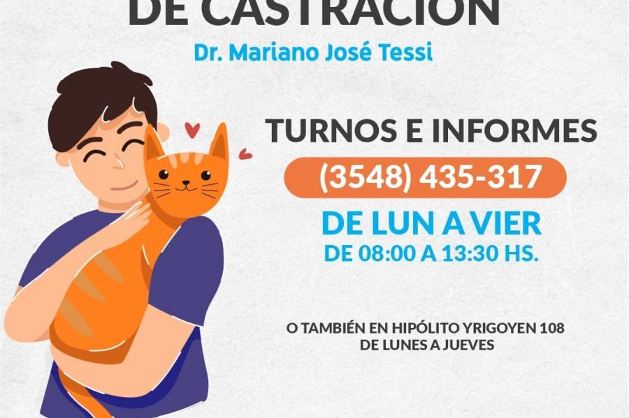 Castración de perros y gatos en el quirófano municipal de Capilla del Monte