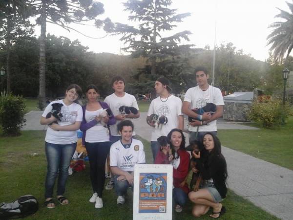 GRUPO DE JOVENES DE LA CUMBRE HAN CREADO UNA PROTECTORA DE ANIMALES