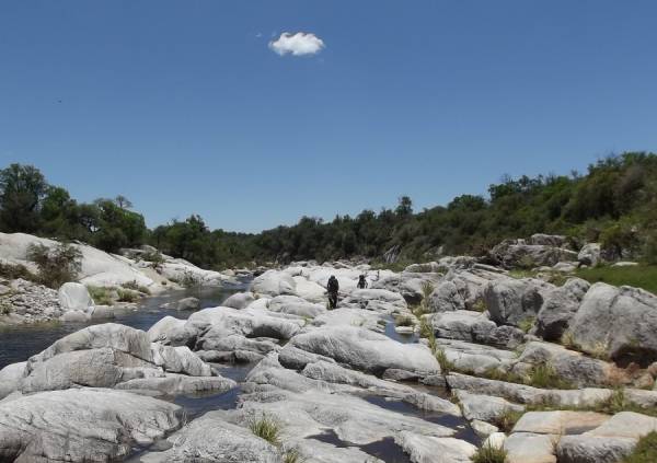 NOTA AL BIOLOGO TOLEDO Y DURBAN POR EL PROYECTO DE RESERVA NATURAL DEL PINTOS