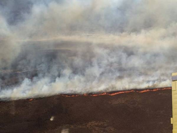 BOMBEROS DE CAPILLA COLABORARON CON EL INCENDIO EN QUEBRADA DEL CONDORITO