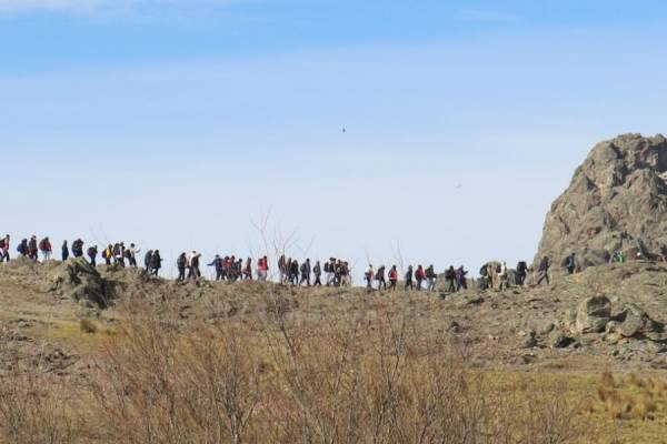 DINOSAURIOS EN LA CUMBRE  !!!