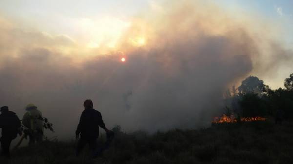 INCENDIO EN EL PREDIO DE AMARANTA EN LA CUMBRE