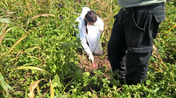 ALLANAMIENTOS EN LOS POLEMICOS CAMPOS CERCA DE LA CUMBRE