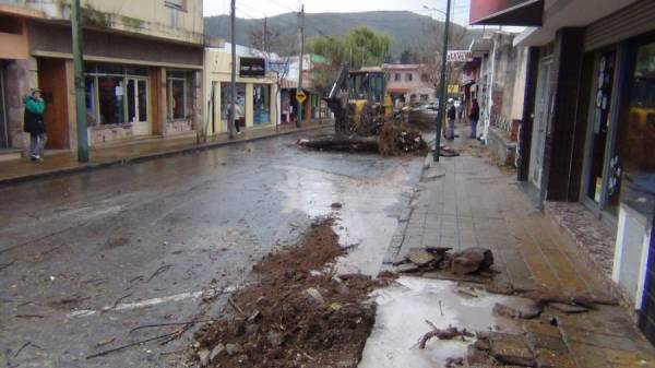 LA MUNICIPALIDAD CONTINUA CON LA EXTRACCION DE ARBOLES