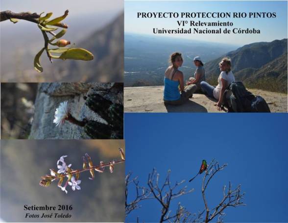 INFORMACION SOBRE EL PROYECTO PROTECCION RIO PINTOS