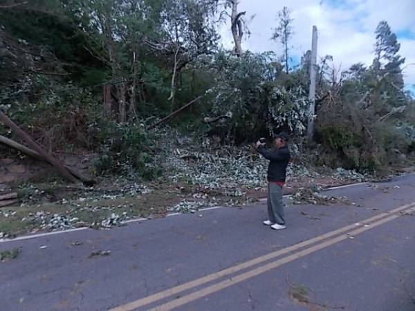 SUBSIDIOS PARA LOS DAMNIFICADOS POR LA TORMENTA