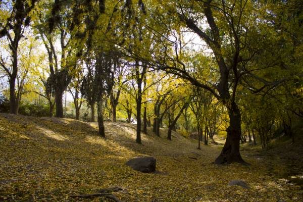 GRILLA DE EVENTOS EN LA CUMBRE EN JUNIO