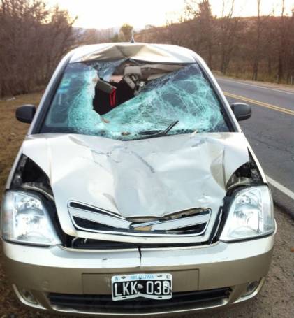 AUTOMOVIL ATROPELLO UN CABALLO EN LA CUMBRE