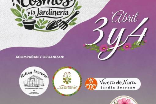 Vuelve a Villa Giardino la Fiesta del Cosmos