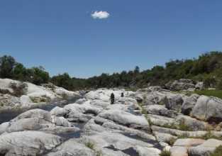 NOTA AL BIOLOGO TOLEDO Y DURBAN POR EL PROYECTO DE RESERVA NATURAL DEL PINTOS