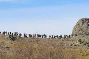 DINOSAURIOS EN LA CUMBRE  !!!