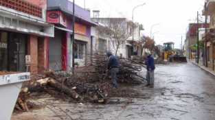 REUNION POR LA EXTRACCION DE ARBOLES EN LA CUMBRE