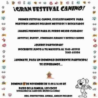 GRAN FESTIVAL CANINO EN LOS COCOS