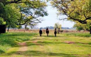 DIPLOMATURA EN TURISMO RURAL EN LA FALDA