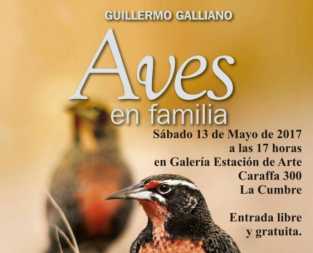 CONFERENCIA AVES EN FAMILIA EN LA CUMBRE