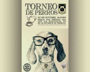 SE VIENE EL TORNEO DE PERROS EN LA CUMBRE !!!