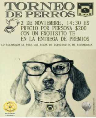 LLEGA A LA CUMBRE UN NUEVO TORNEO DE PERROS