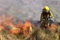 Incendios: estado de situación en la provincia. Jueves 19 hs