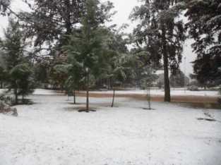 NIEVA EN LOS JARDINES DEL ALMA